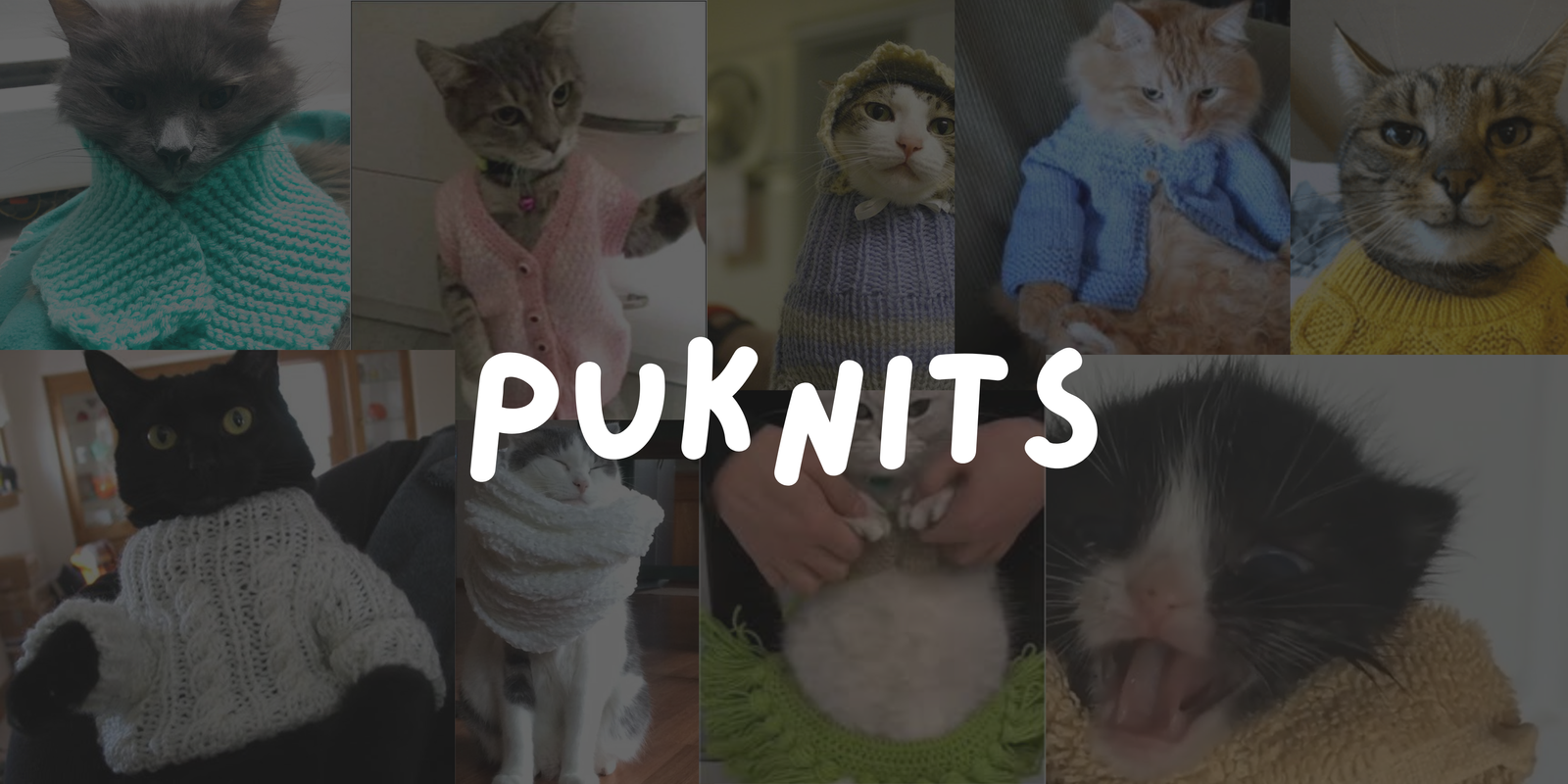 Puknits Animated Banner