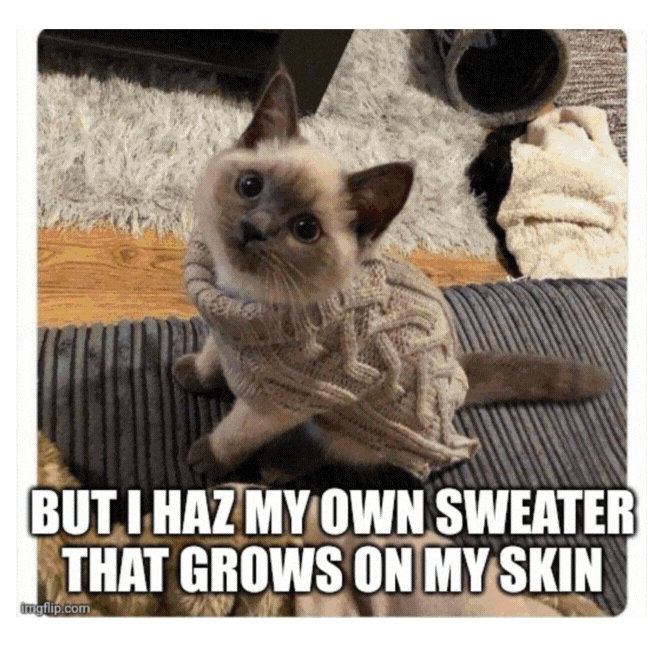 Puknits Meme GIF